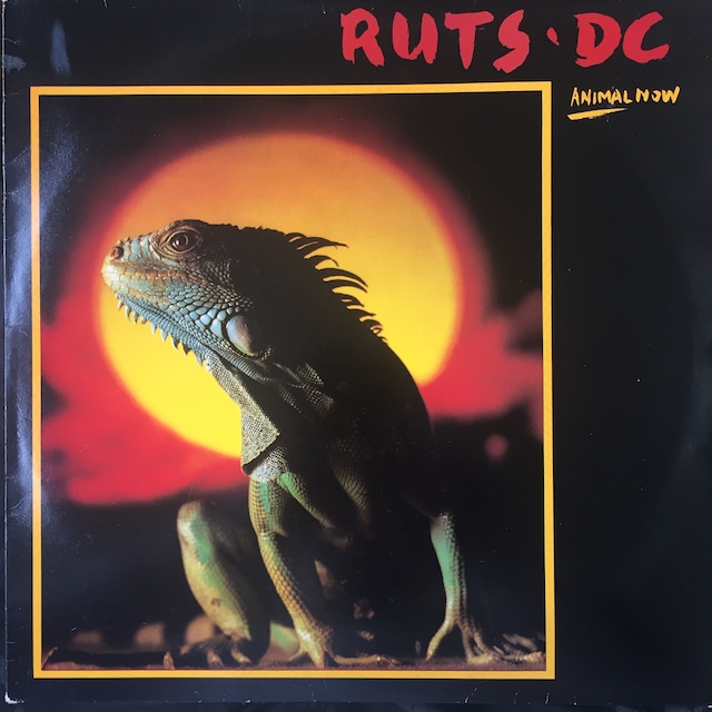 Ruts DC ‎– Animal Now