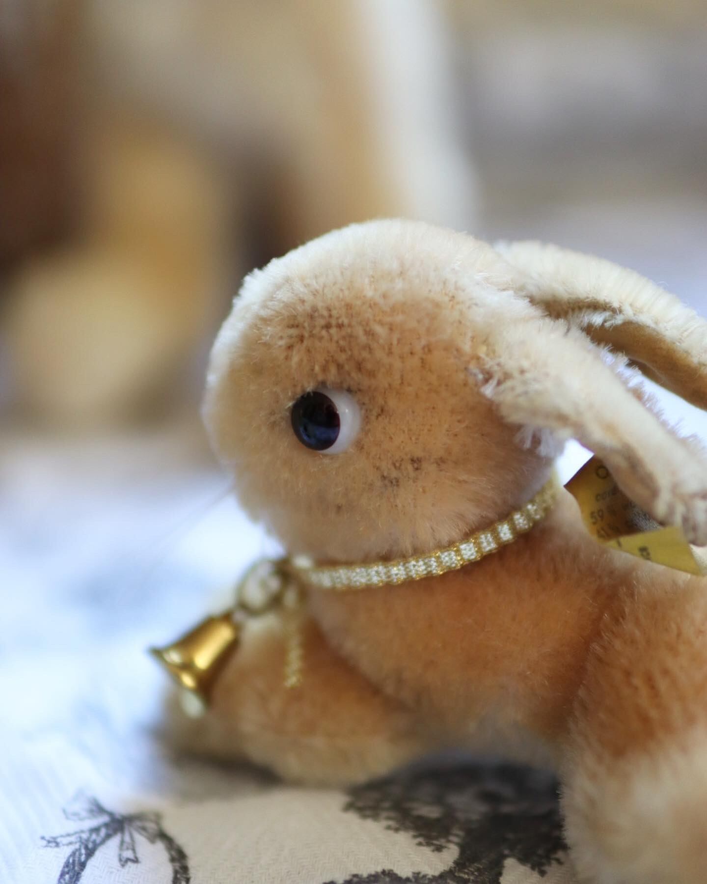 シュタイフ ぬいぐるみ うさぎ LyingRabbit ヴィンテージ | ぷち