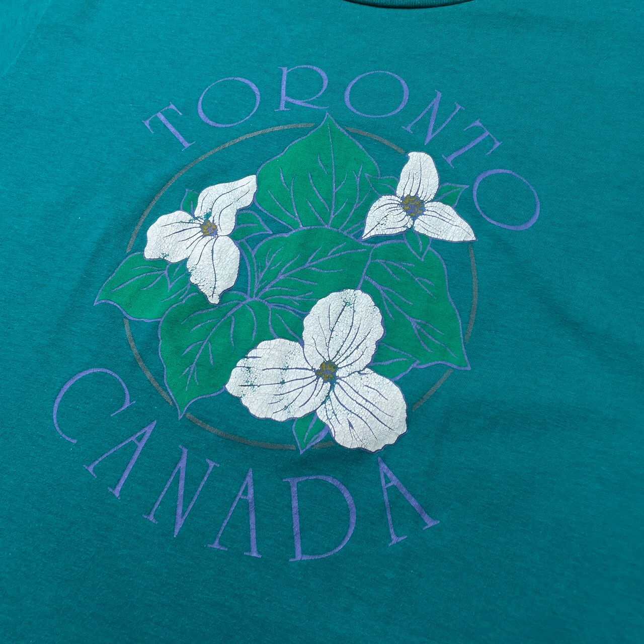 90年代 カナダ製 TRONT CANADA スーベニア プリントTシャツ メンズL 