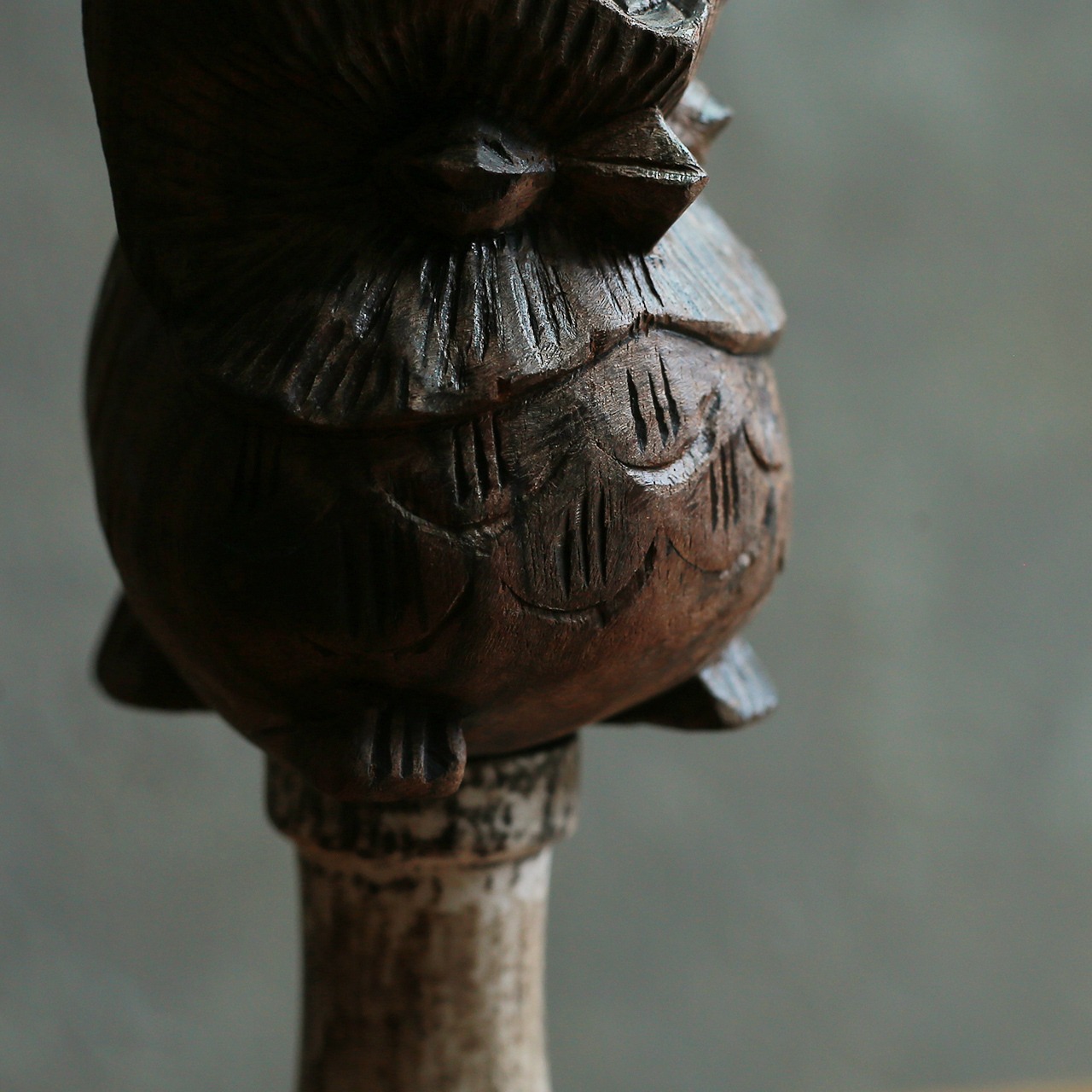 【 MEGURI series 】明日を感じるフクロウ