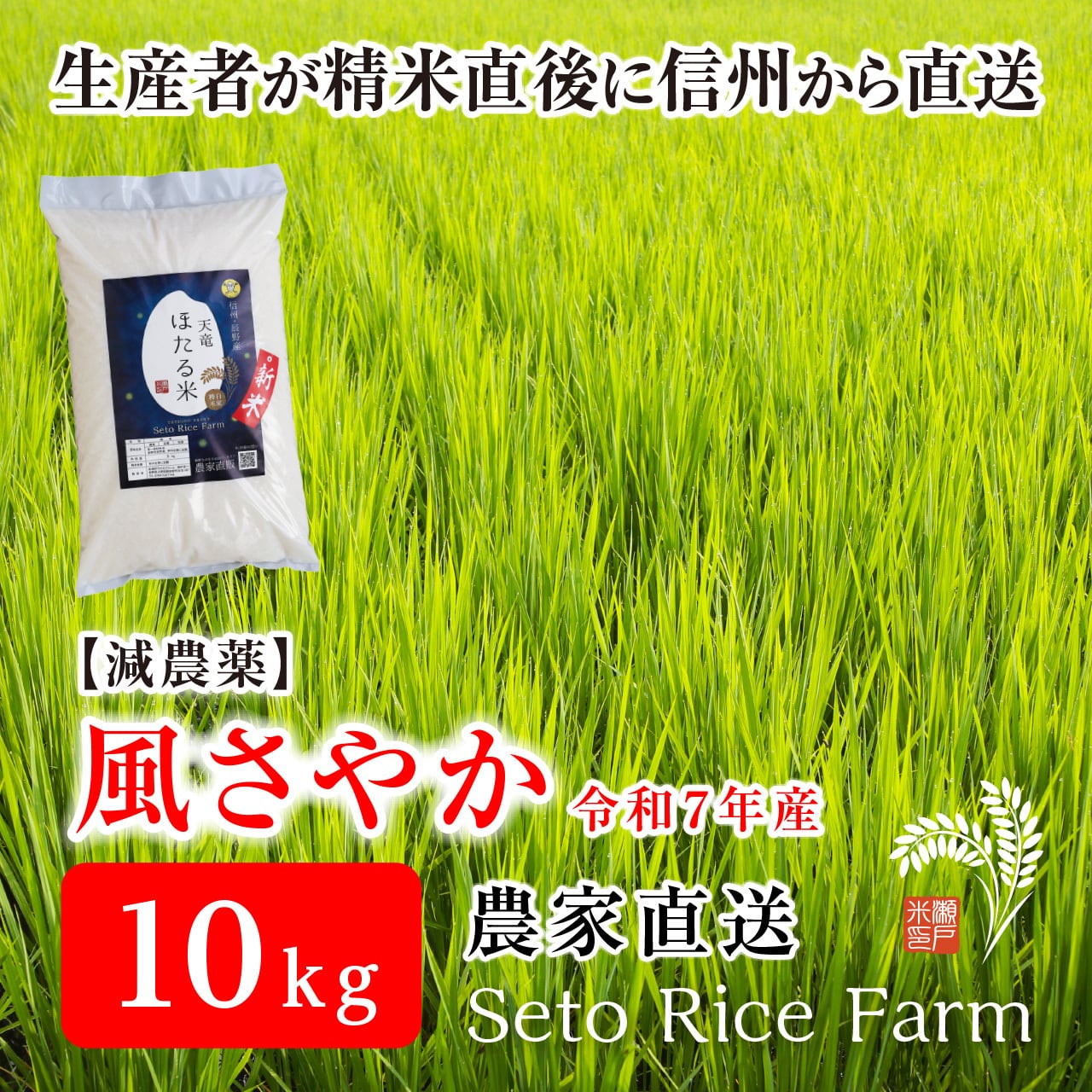 R7年度】減農薬 信州のブランド米「風さやか」 10kg あっさりとした食
