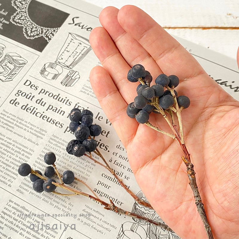 シャリンバイ ナチュラル ドライフラワー 自然素材こわけ専門店 あじさいや