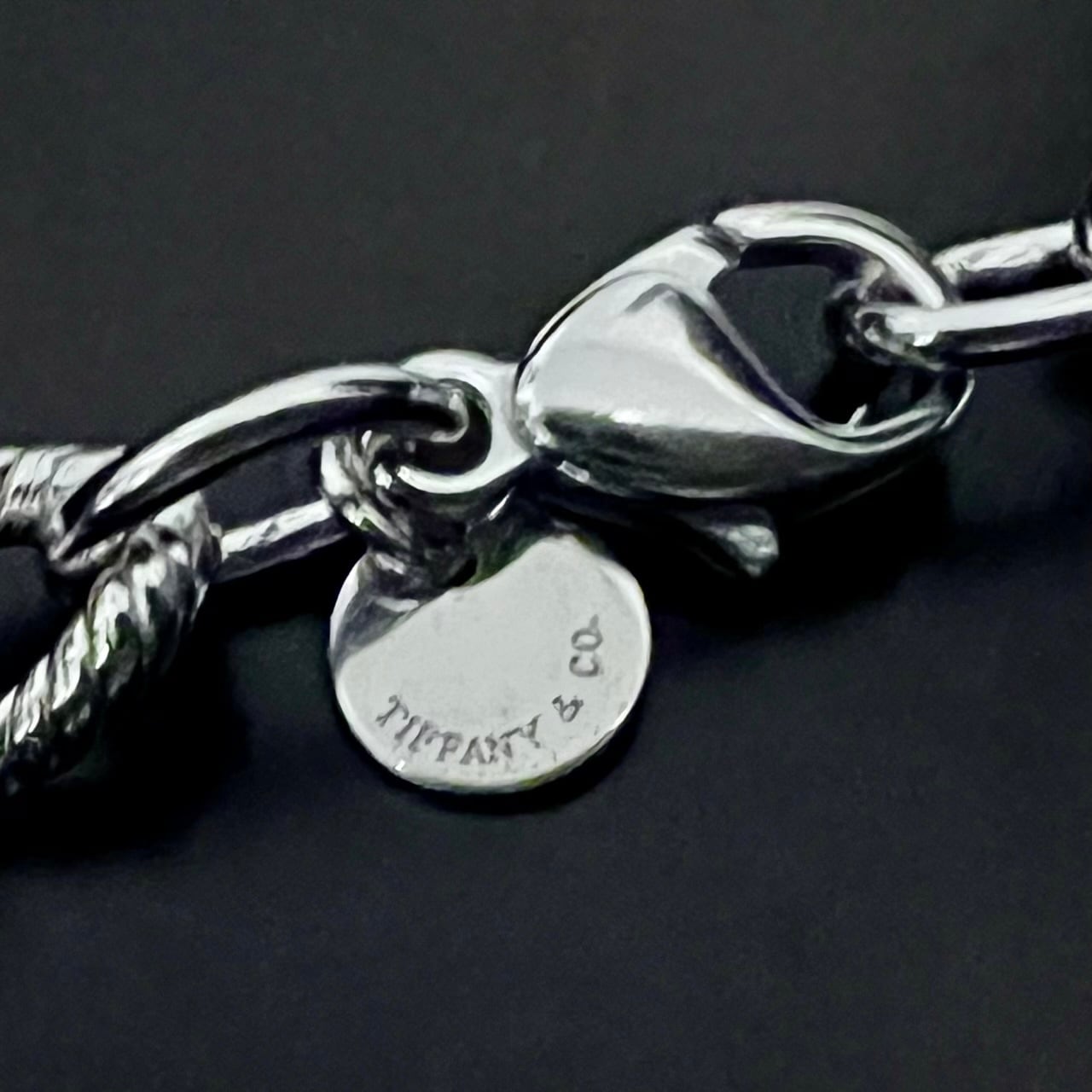 VINTAGE TIFFANY & CO. Rope Pattern Curb Chain Necklace Sterling