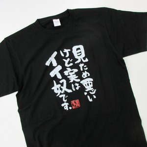 見ため悪いけど実はイイ奴です。 おもしろ 漢字Tシャツ ka400-59 容姿 怖い 強面 ルッキズム