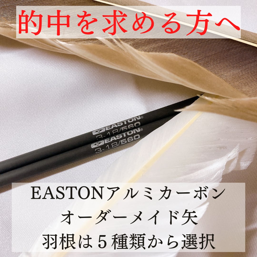 オーダーメイド矢】EASTONアルミカーボンシャフト3-18/560《羽根選択式 ...