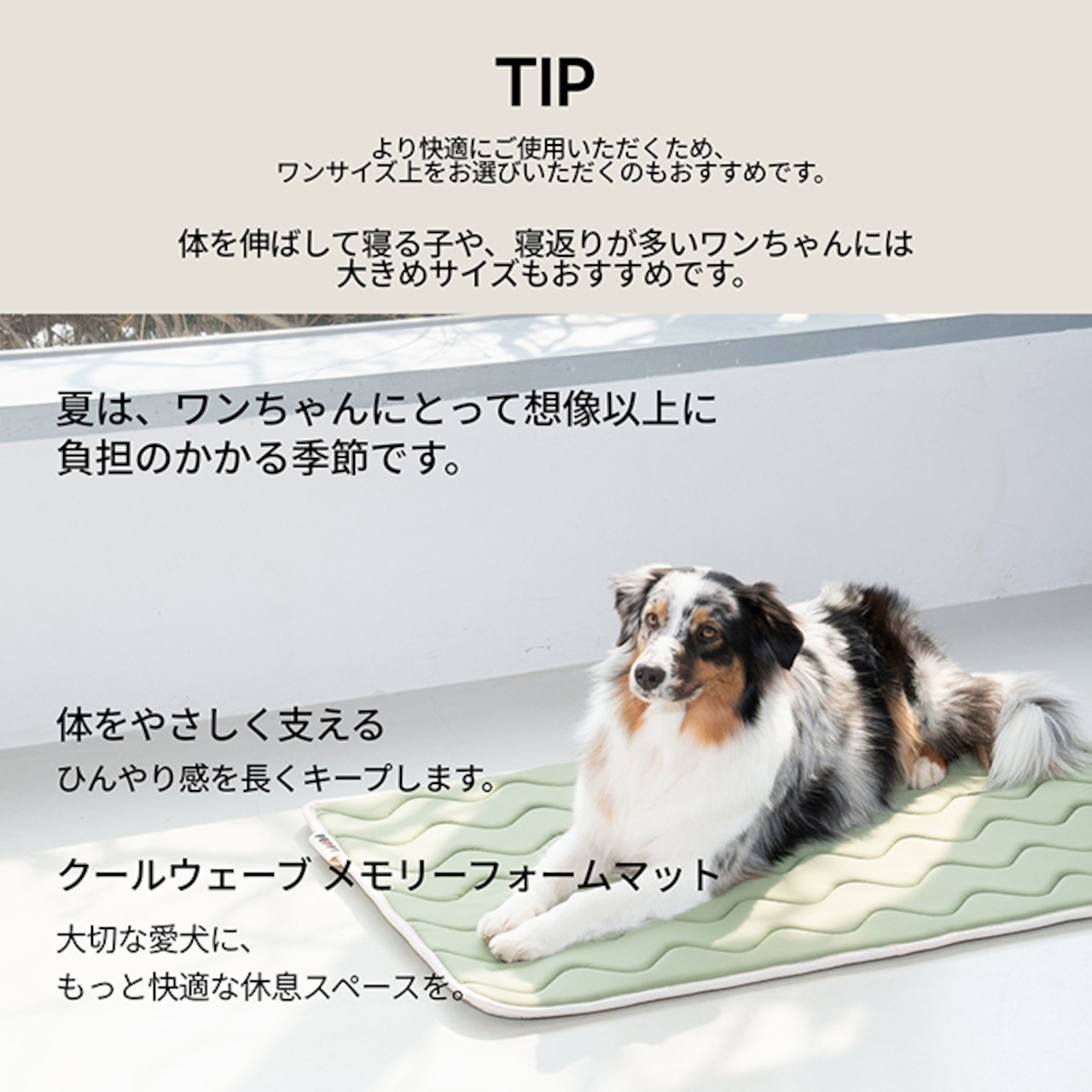 ※予約【puppygallery公式】Cool Wave Memory Foam Mat〔XL・2XL〕