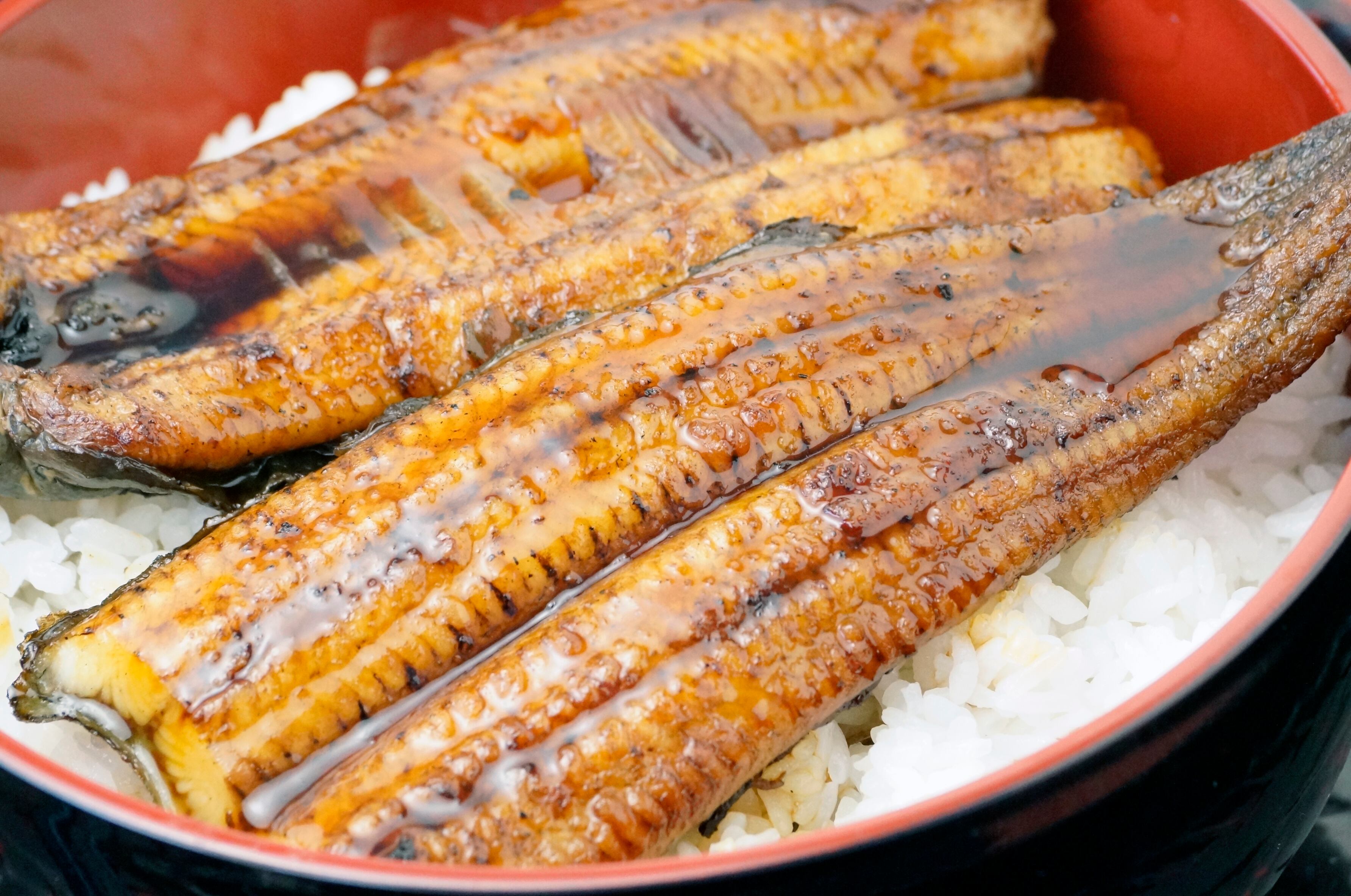 黒潮うなぎ | 大田商店