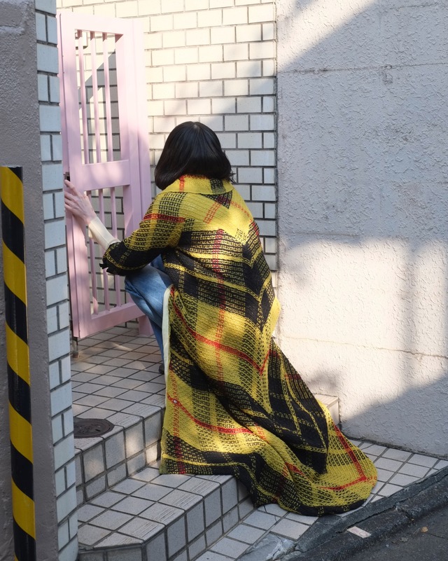 vintage/bee check coat.