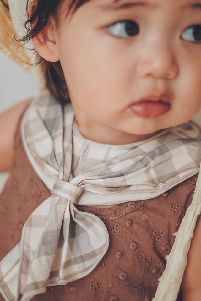 スタイ・ブルマ2点セット【淡色チェック】