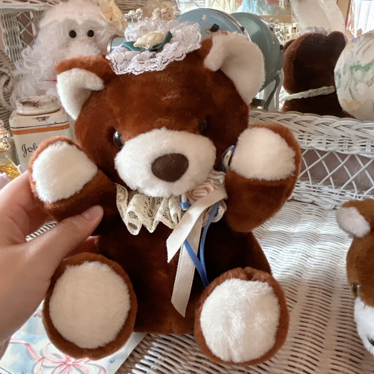 brown bearの画像02
