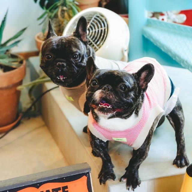 【FB size】STRIPED TANK (PINK)