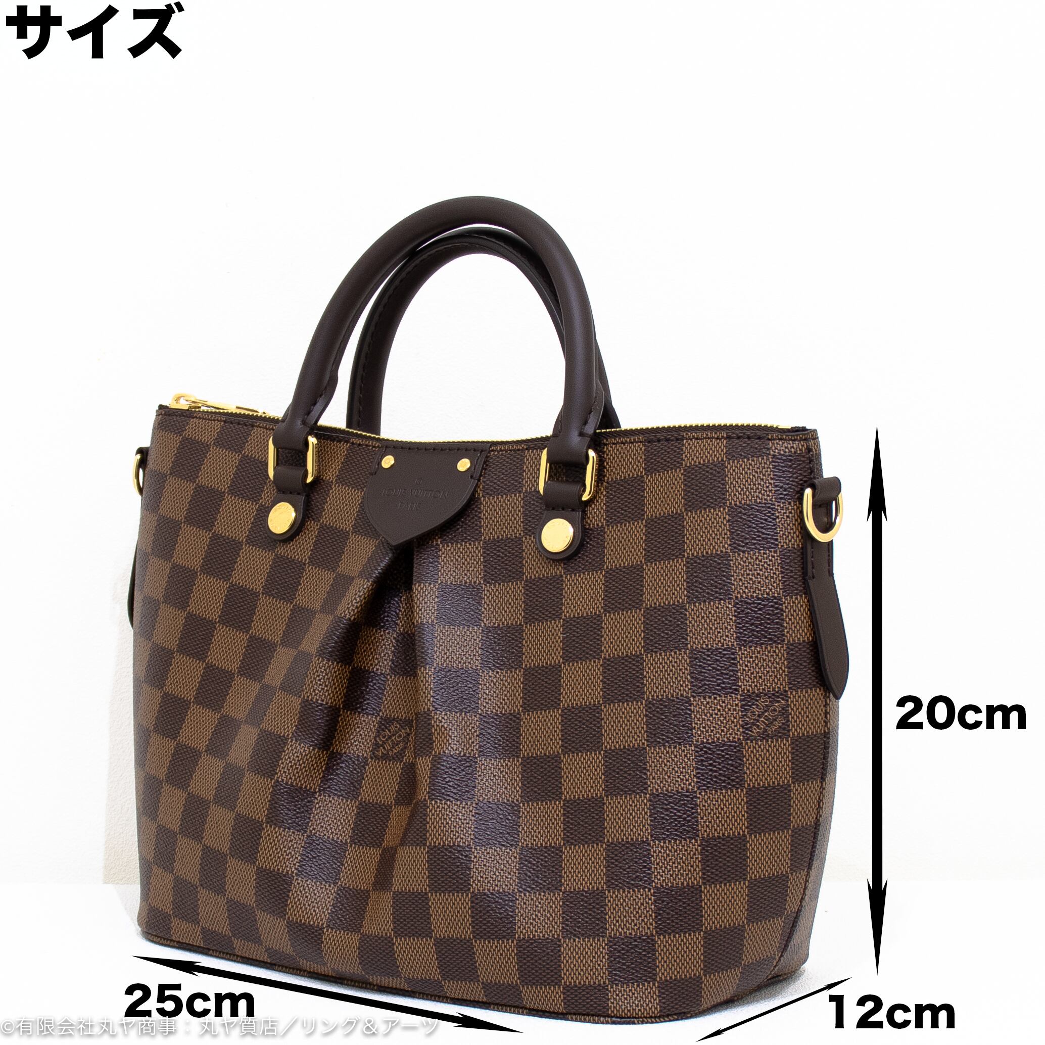 LV/シエナPM/ダミエ/エベヌ/N41545/TJ3***/ルイ・ヴィトン/Aランク/62 レディースバッグ