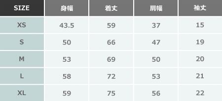 アイスクライマー1POIN-T / THE KING OF GAMES