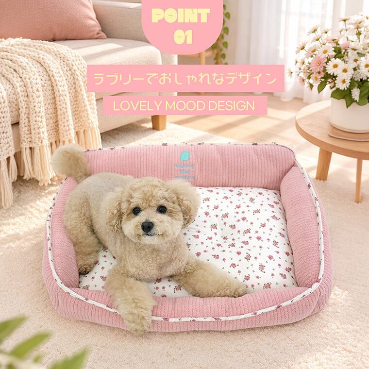 【予約販売10%OFF】jelly bear reversible bed Msize 2color / 犬用 ベッド リバーシブル 両面 ふんわり 冬 可愛い クッション ペットマット 猫用 韓国 ペット用品 小型犬 中型犬 ハウス 高級 犬 ペットベッド