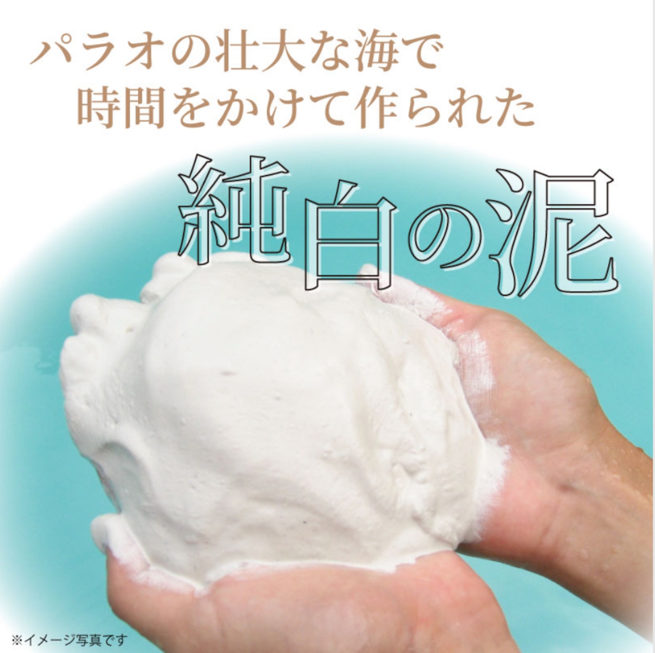 【9月キャンペーン特典付き★】ホワイティーパラオパック➕