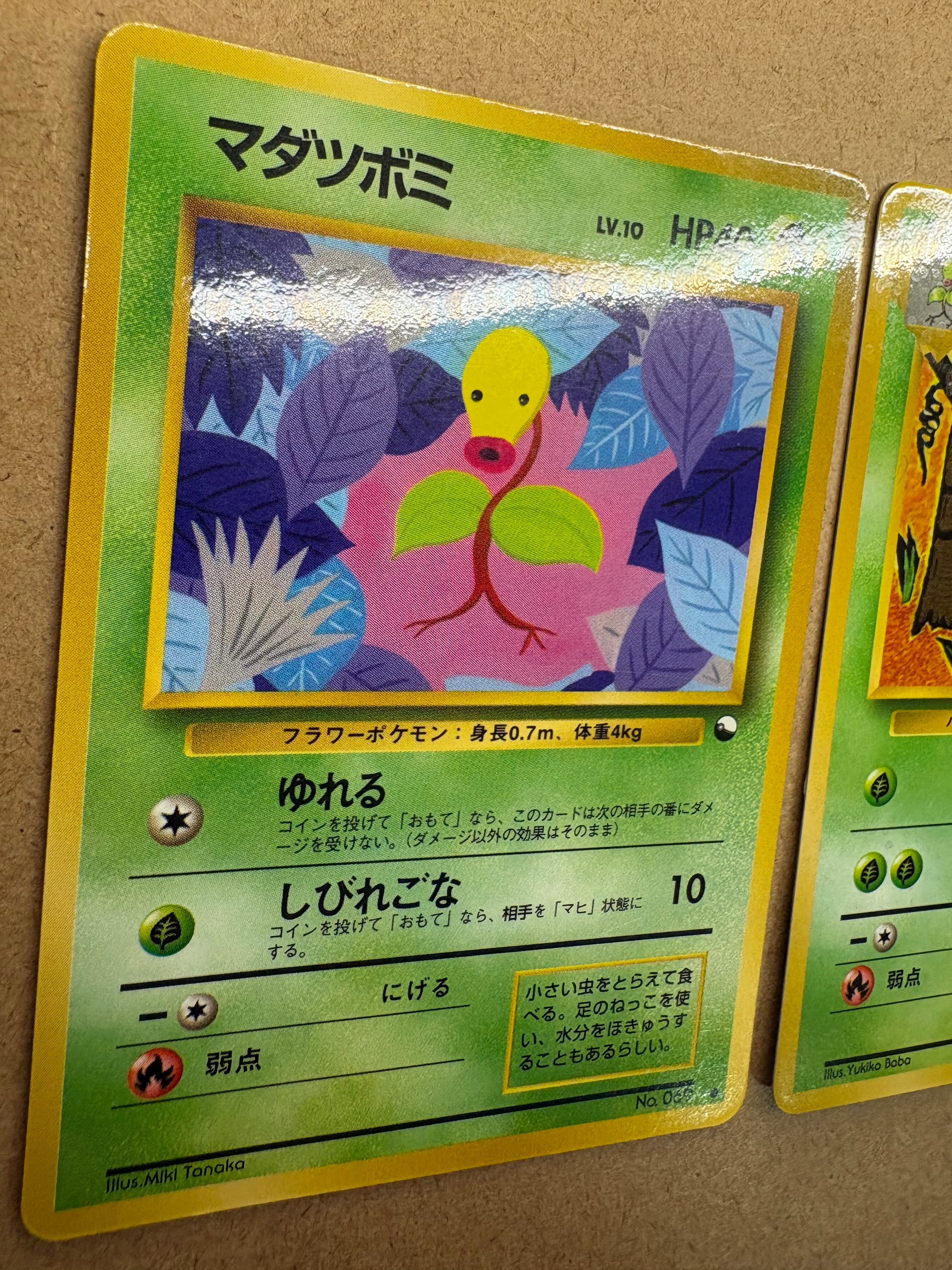 拡張シートのマダツボミ＆ウツドン ポケモンカード旧裏 | ロックウエーブ
