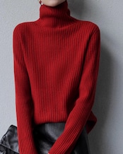 Turtle neck rib Knit T20244