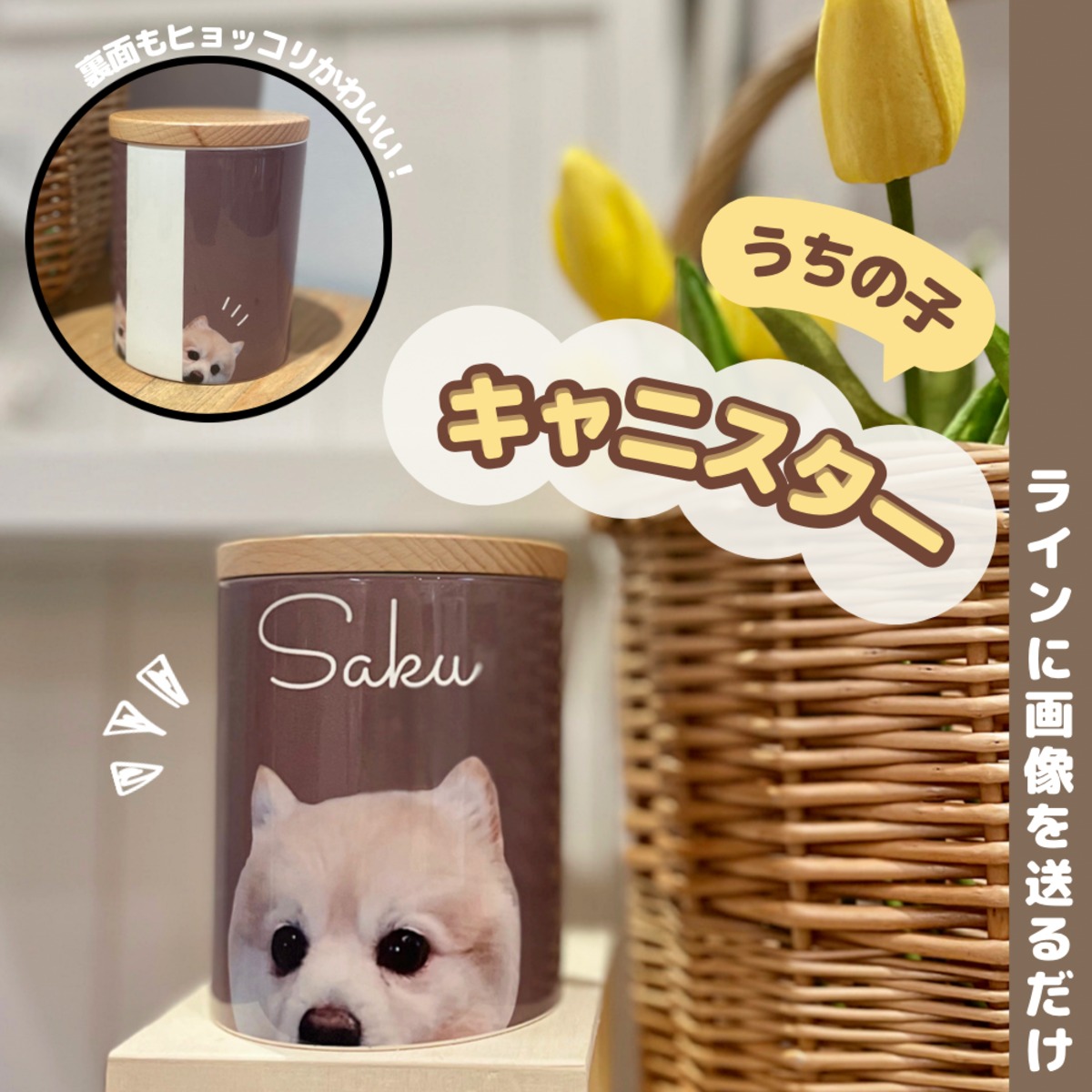 2e28258fcc3dbbf29b274ca93a231d