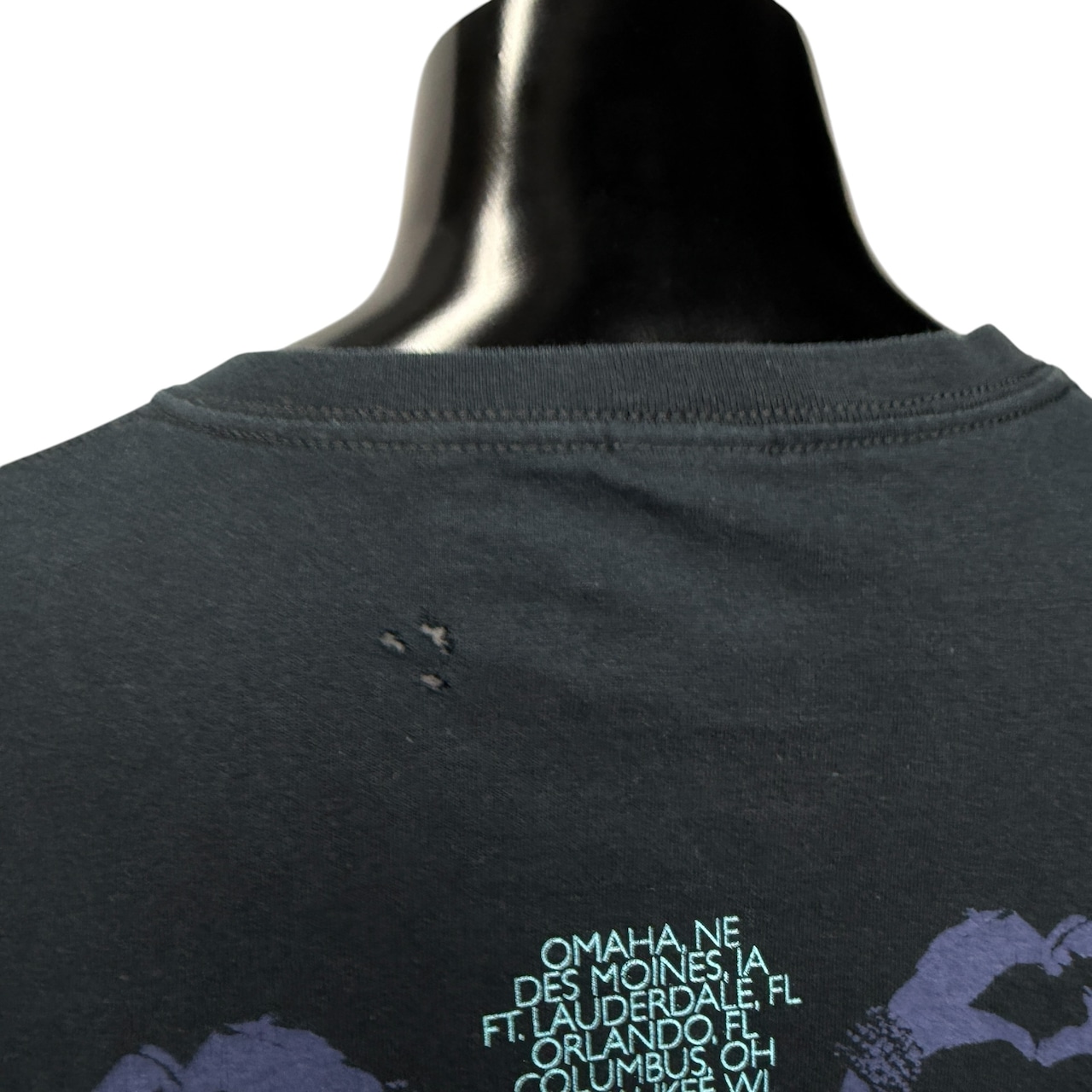 【TAYLOR SWIFT】テイラー・スウィフト "SPEAK NOW WORLD TOUR 2012" 00's Tシャツ