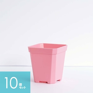 Solid Square Pot  7cm ピンク 10個セット