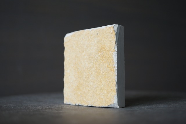 サクココマ化石 Saccocoma pectinata  1274