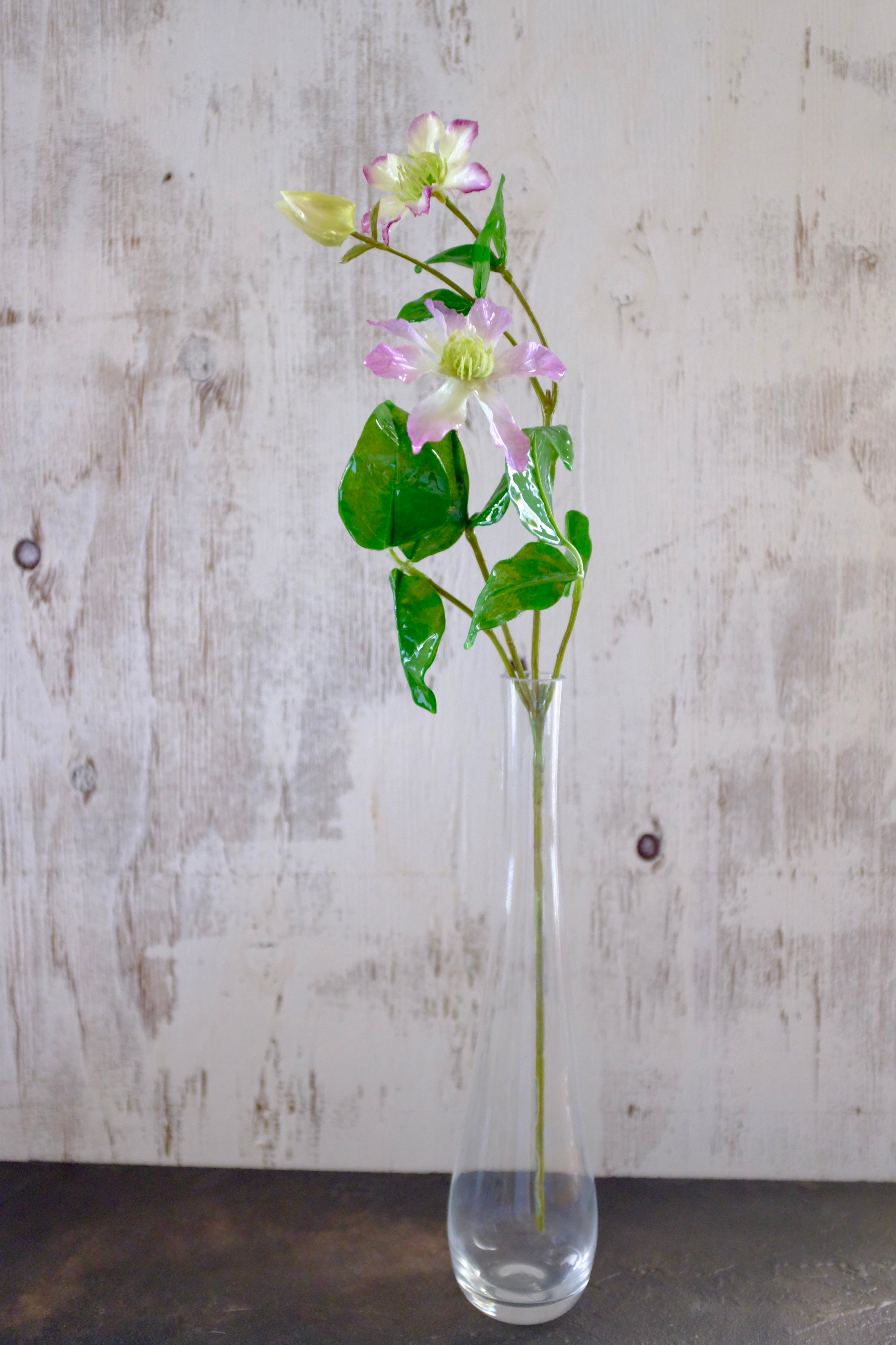 tsuyabana クレマチス ピンク | KieKa