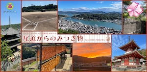 尾道からのみつぎ物~Seventeen tributes~+1