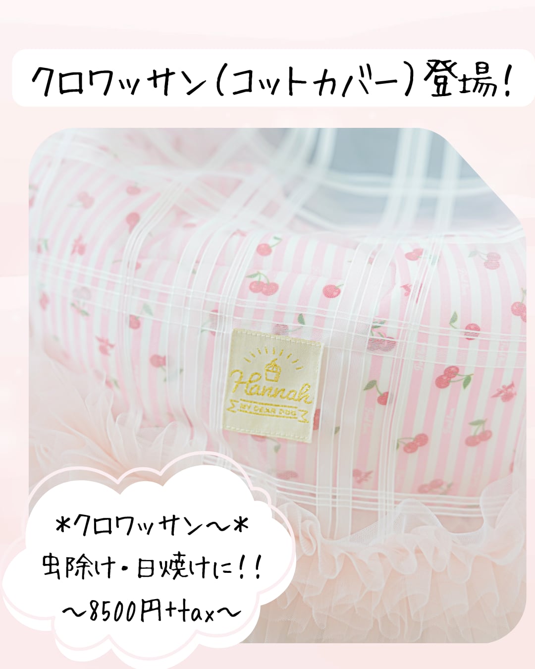 Croissant(クロワッサン)