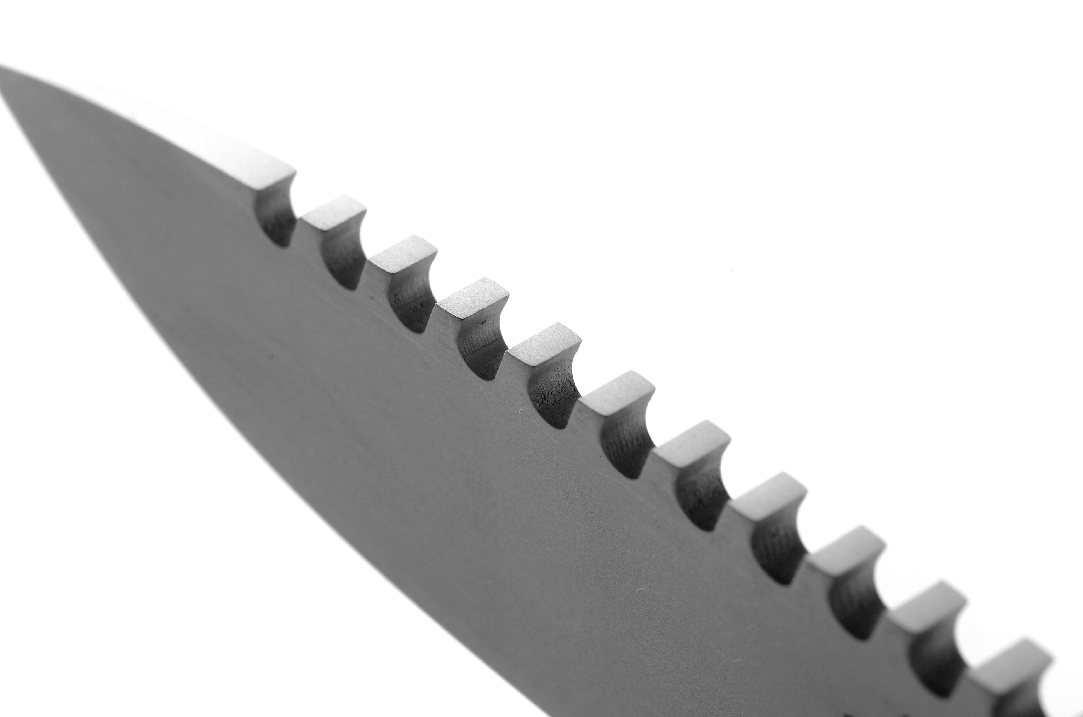 堀 英也（HIDE-BLADE） ／ 4” SURVIVAL［4” サバイバル］【2026年6月1