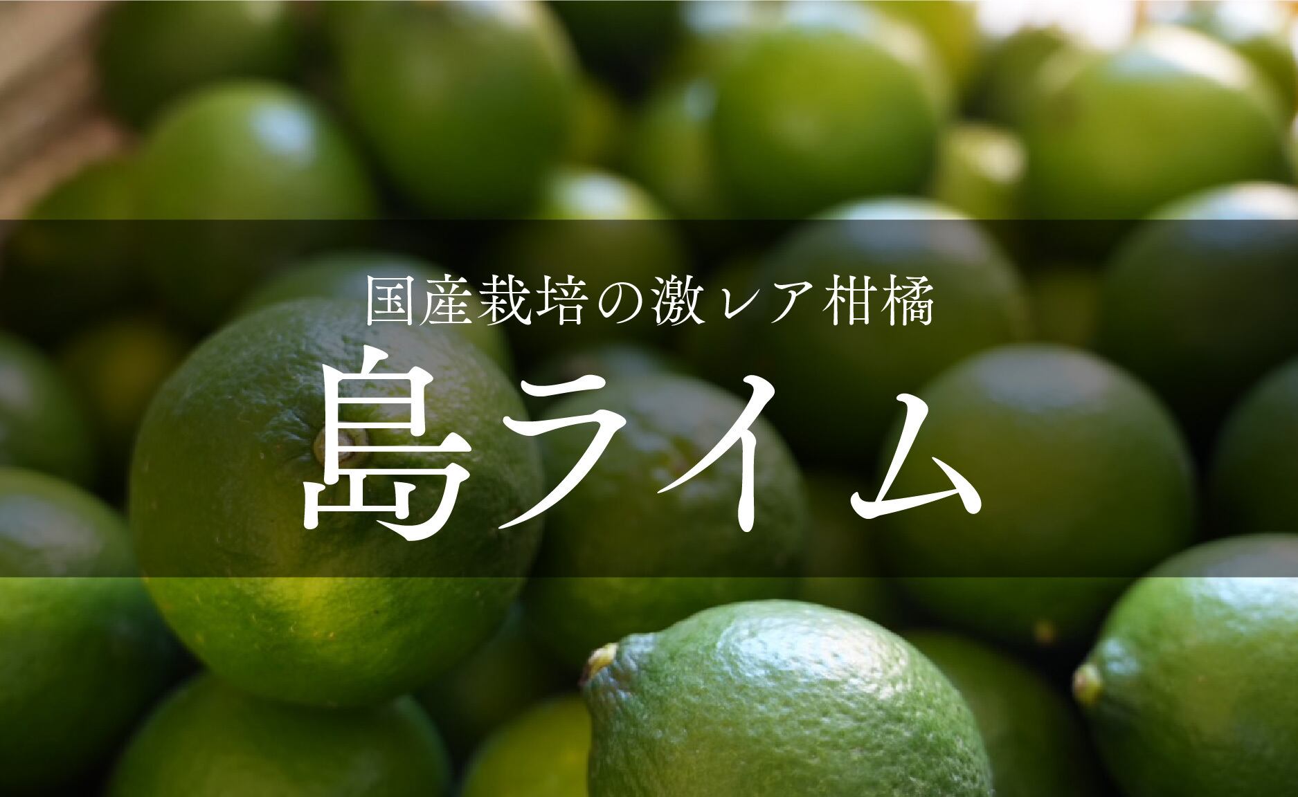 2025年売り切れ】ミネラル感じる貴重な国産。島ライム 1kg〜10kg