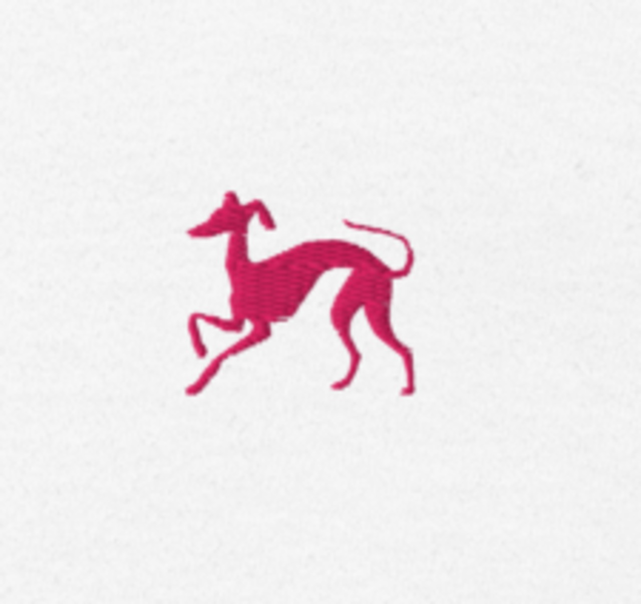 Ruby iggy 刺繍 ユニセックス長袖Tシャツ A0050