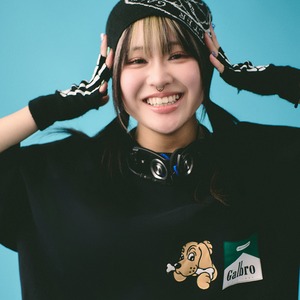 【GALFY】ガルプロTee 142030 ガルフィー カットソー Tシャツ ストリート ブランド ユニセックス