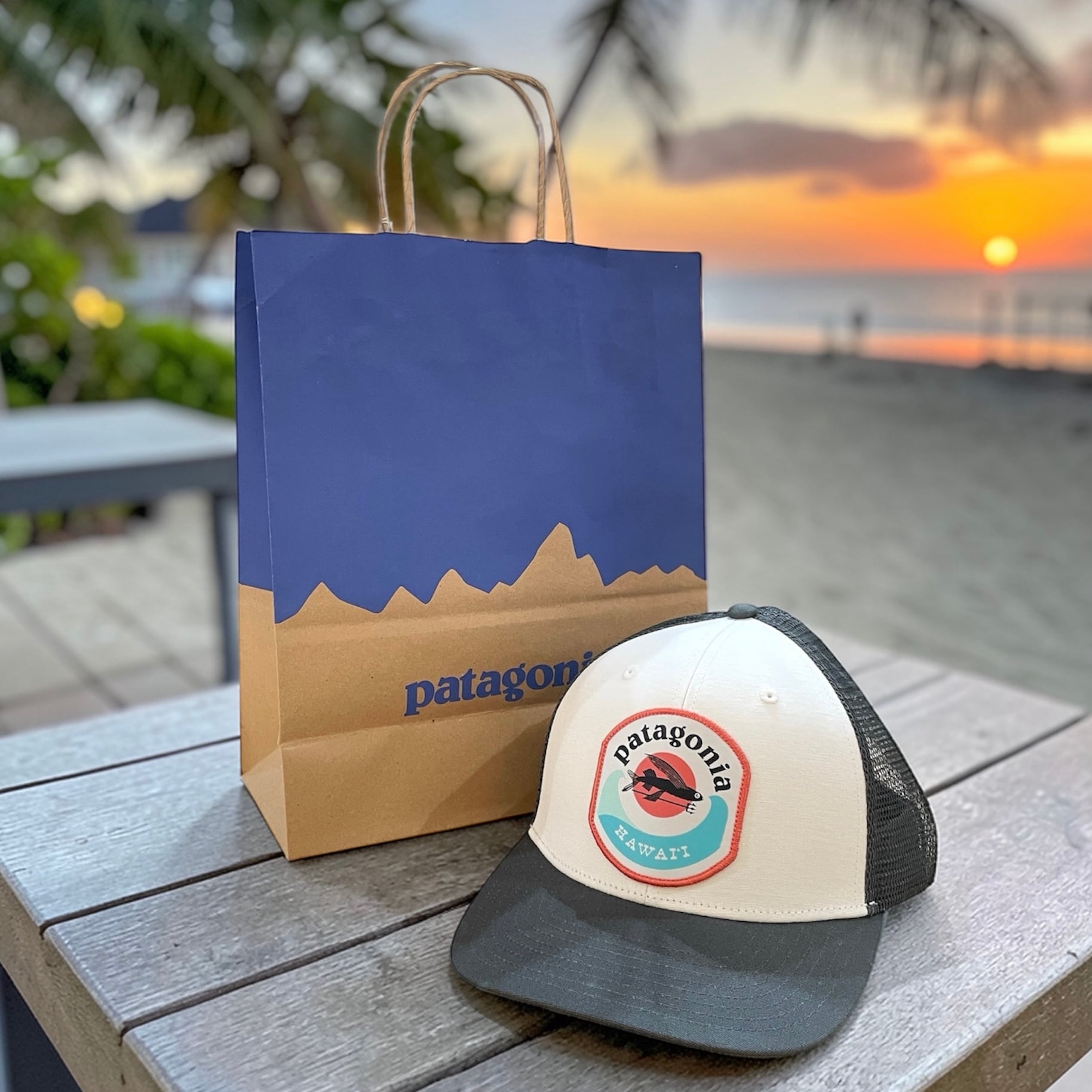Patagonia】 パタゴニア 紙袋 ショッパー ショッピングバッグ ペーパー