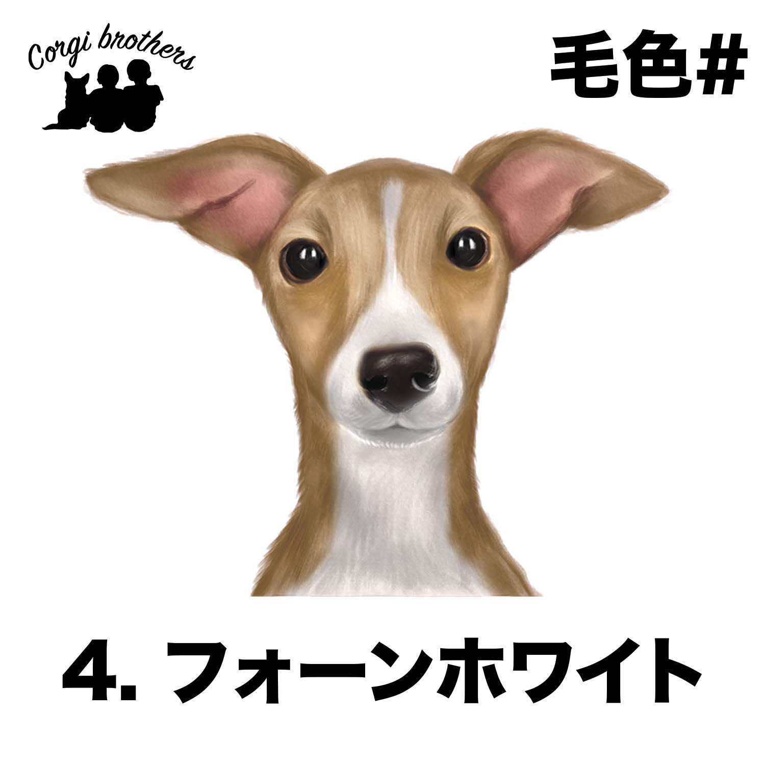 2e407e4c5c044c50eb5c485fc9bc92