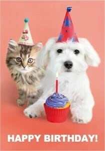 アニマル　ポストカード　HappyBirthday