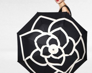 umbrella / flower / Camellia