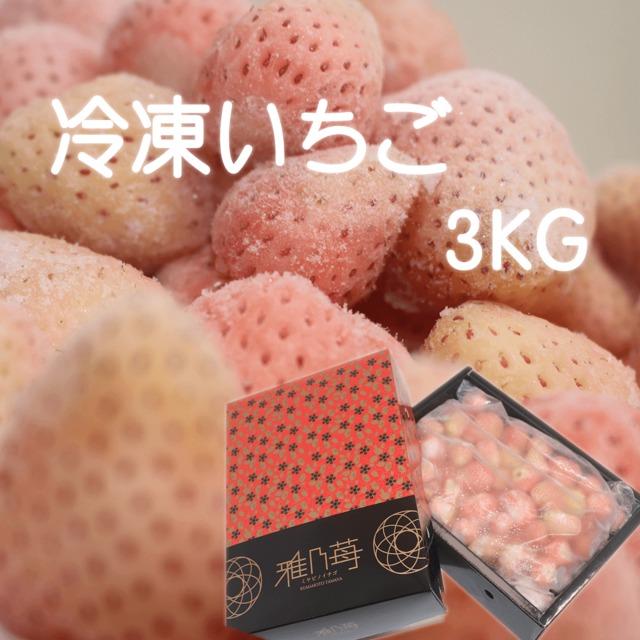【送料無料】熊本産 冷凍いちご 淡雪 3kg