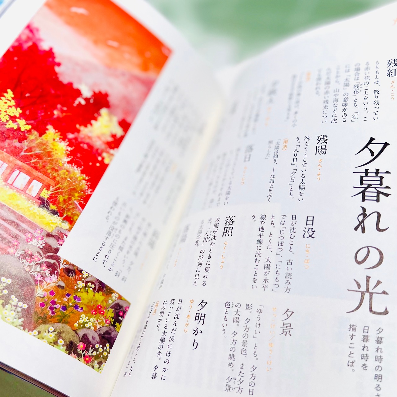 光と闇と色のことば辞典