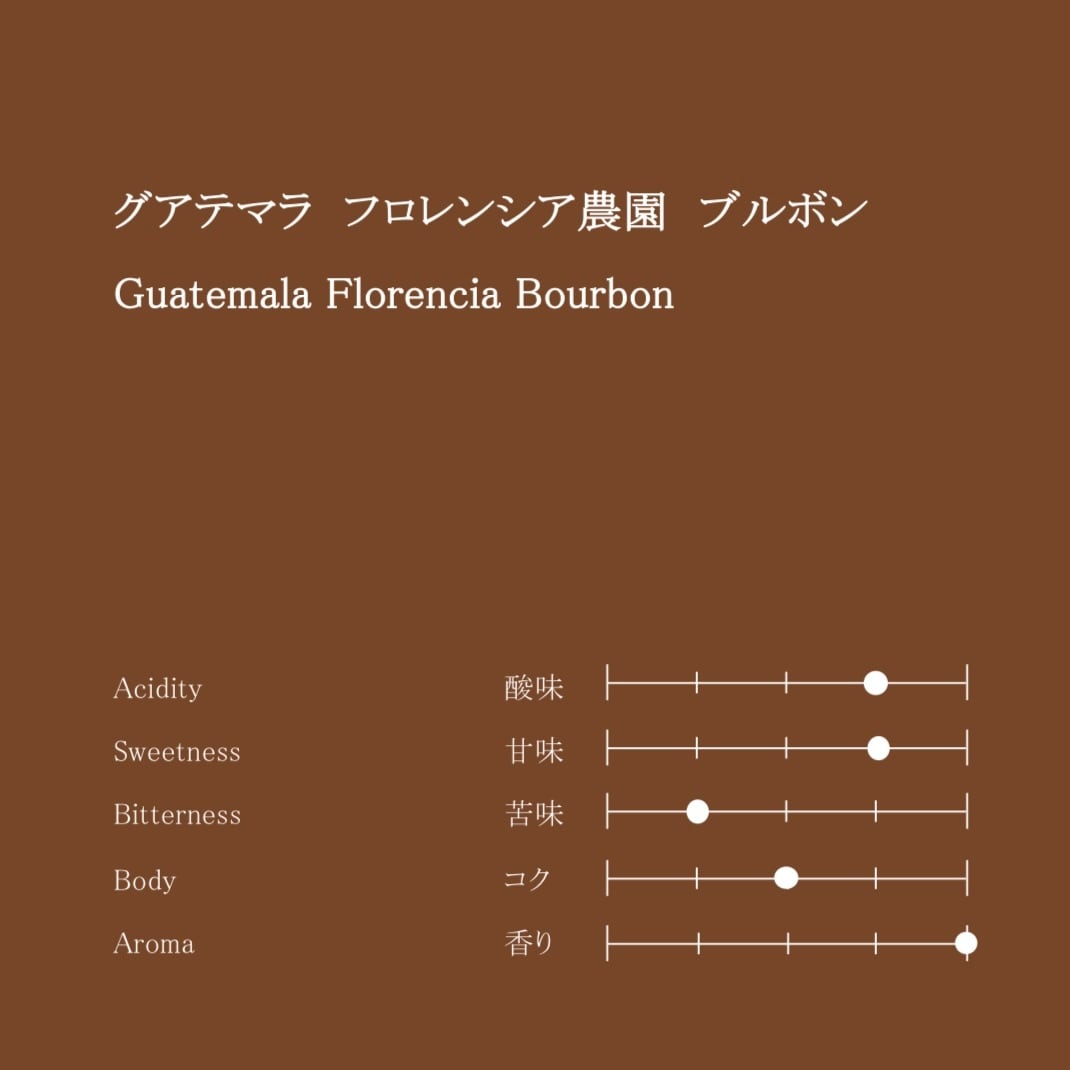 グアテマラ フロレンシア農園 ブルボン 100g