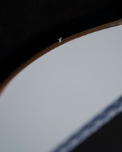 変形皿　松型　九谷焼　金彩　８枚揃