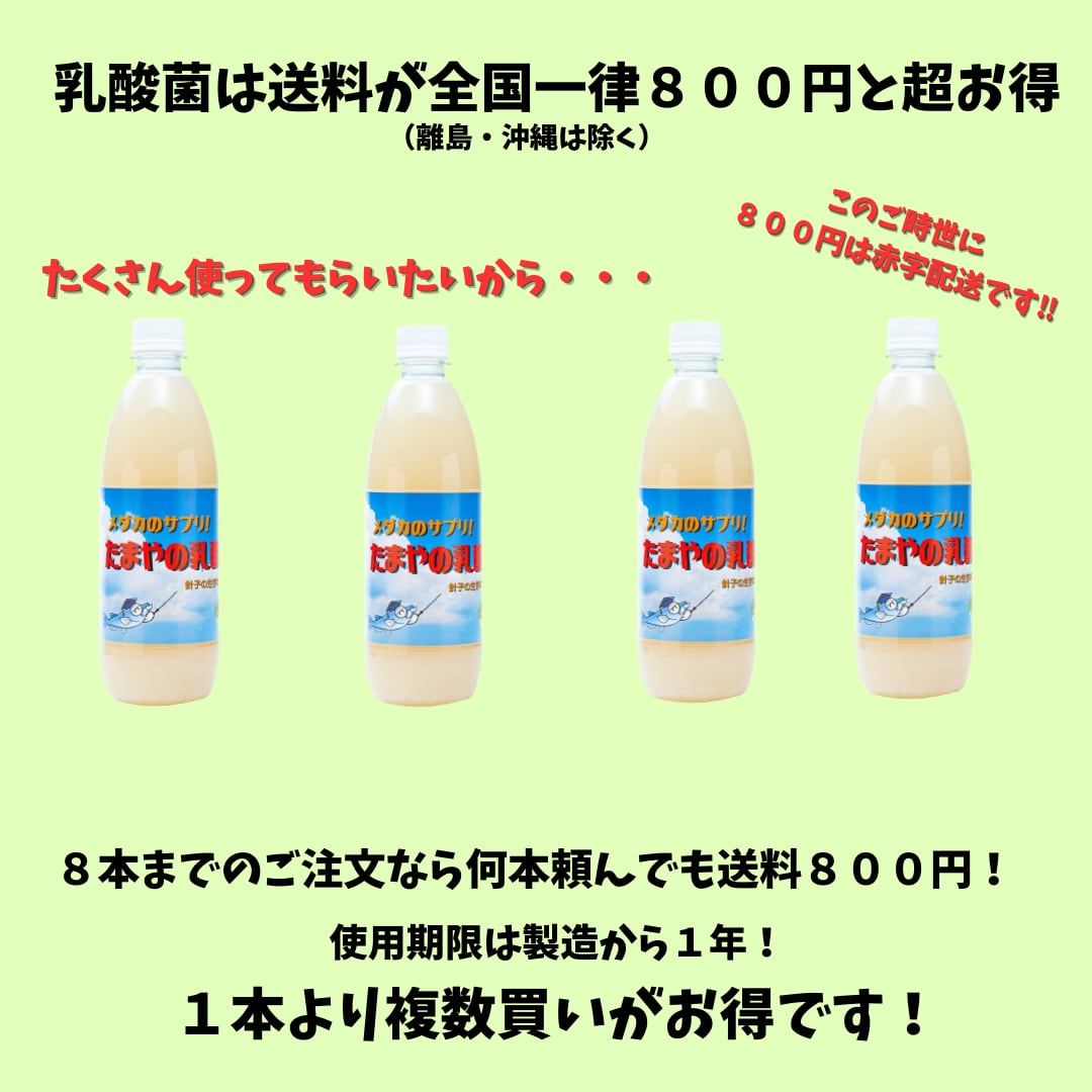 たまや様 リクエスト 2点 まとめ商品 ごまたまご様 リクエスト 2点 お 