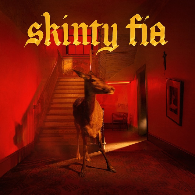 Fontaines D.C. / Skinty Fia（Ltd Deluxe 2LP）