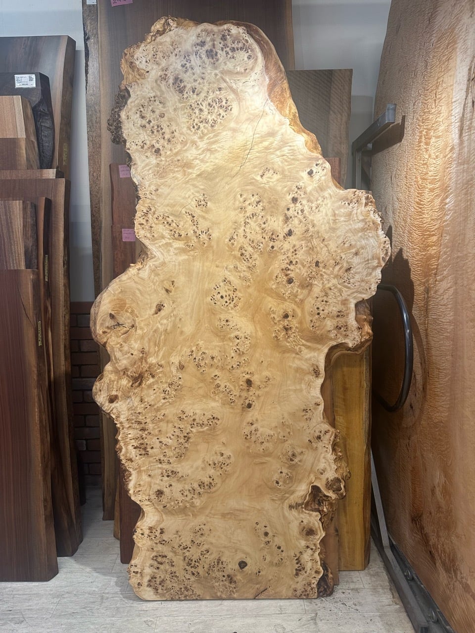 ポプラ瘤_2070×720-920-650×70_浅草本店_テーブル天板/一枚板 261581