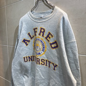 90s Fruit of the Loom Alfred Univ Sweat