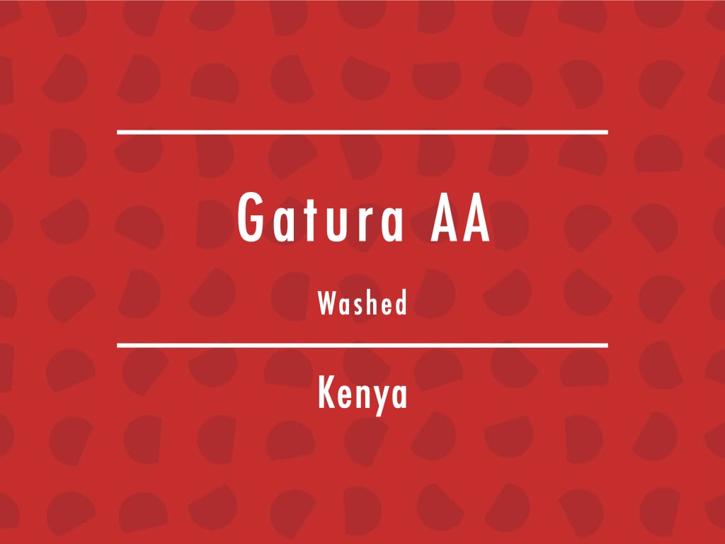 【お得!500g】ケニア / Gatura AA Washed