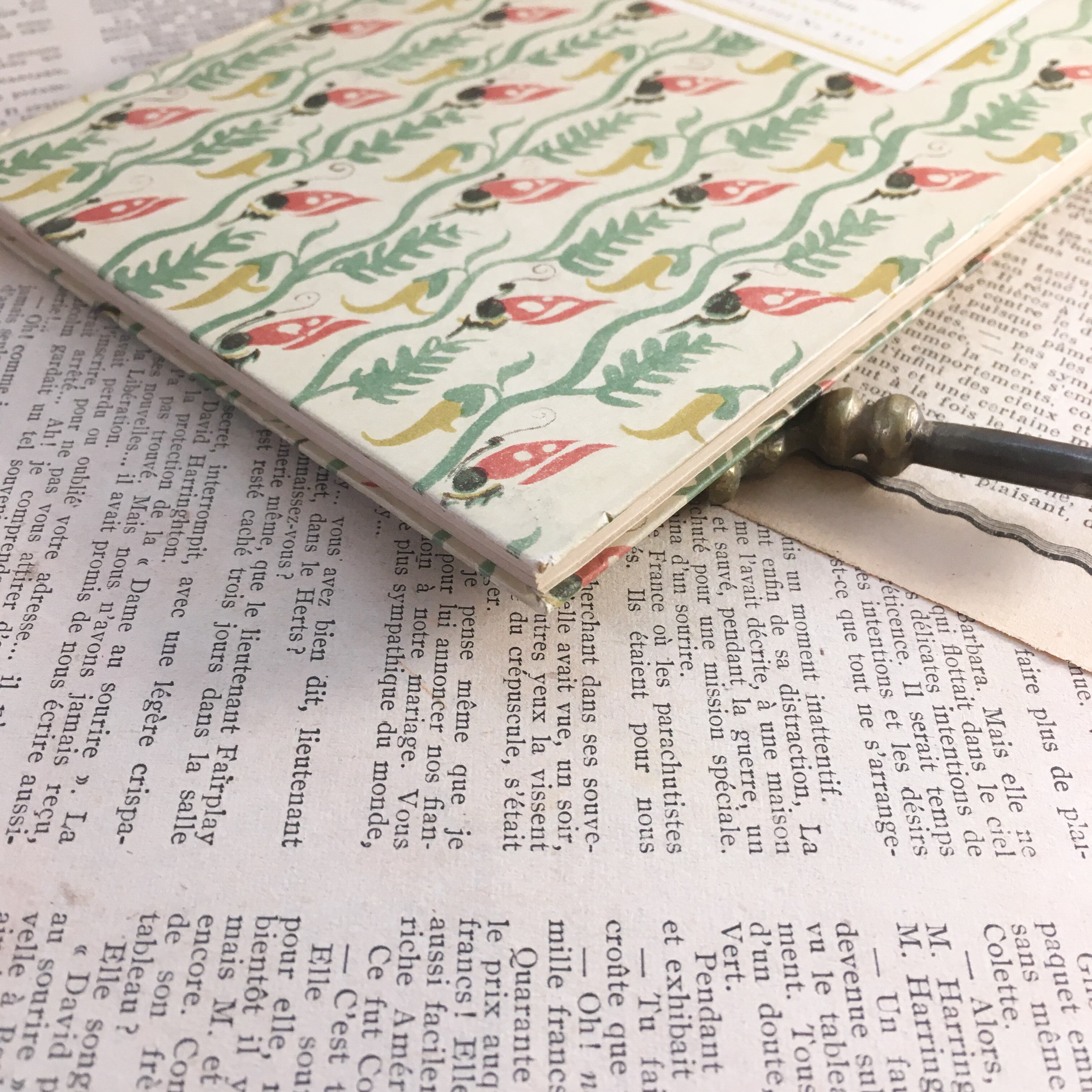 インゼル文庫 351番 熱帯植物の図鑑 ドイツ 古書 欧州アンティーク雑貨 べるりんのーと