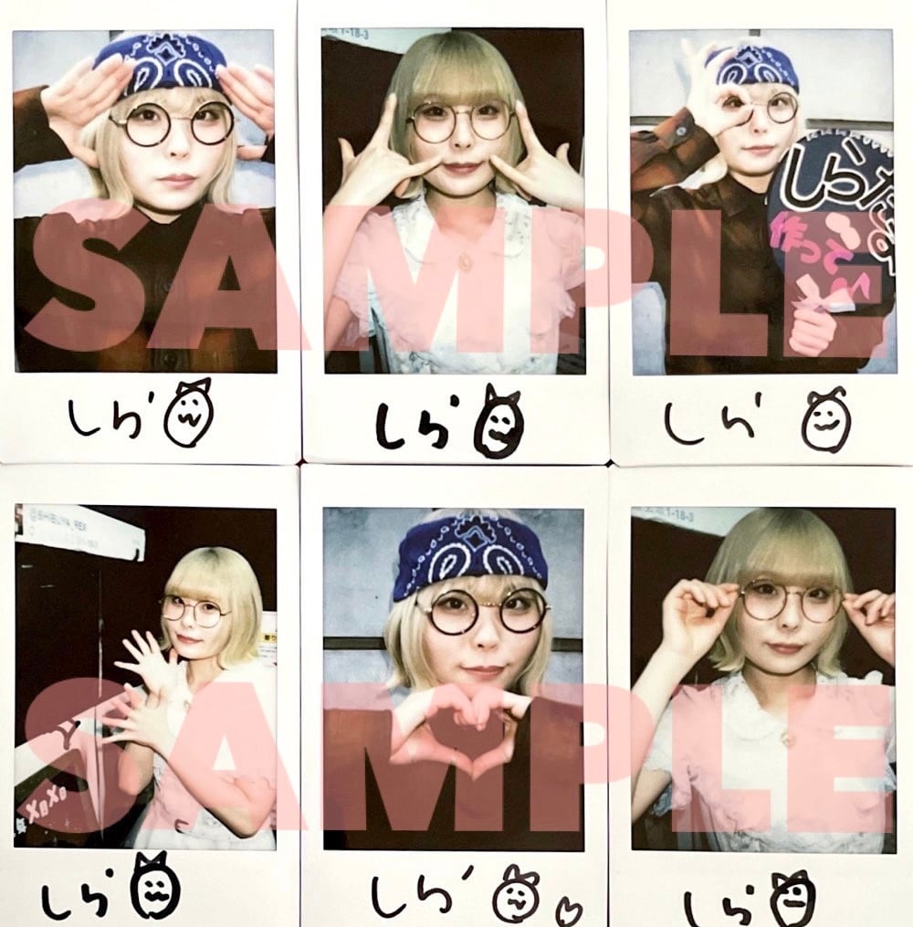 【けいらん。】vistlip 海 チェキ 46枚 けいらん。様専用】vistlip 海 チェキ 46枚