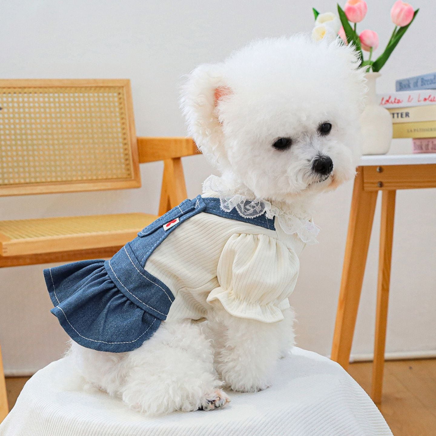 予約】フリルブラウス風デニムワンピース｜重ね着風 ガーリー犬服 小型