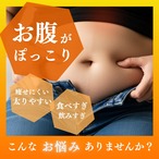 オールスターズダイエット プレミアム