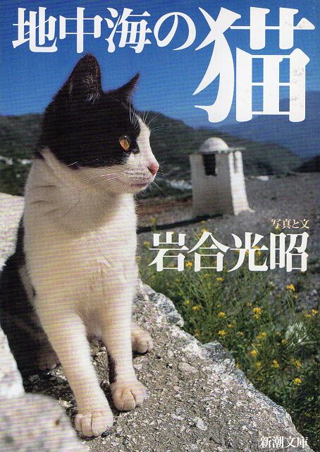 京都三条サクラヤ　地中海の猫（文庫本）　猫本サロン